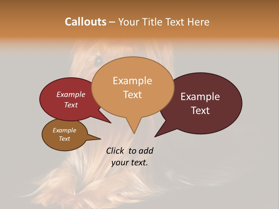 The Yorkshire Terrier On Black Background PowerPoint Template