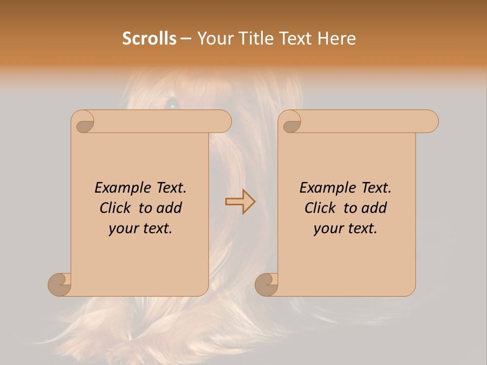 The Yorkshire Terrier On Black Background PowerPoint Template