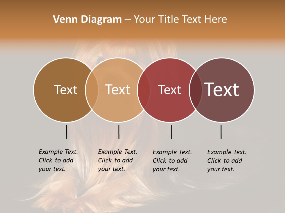 The Yorkshire Terrier On Black Background PowerPoint Template