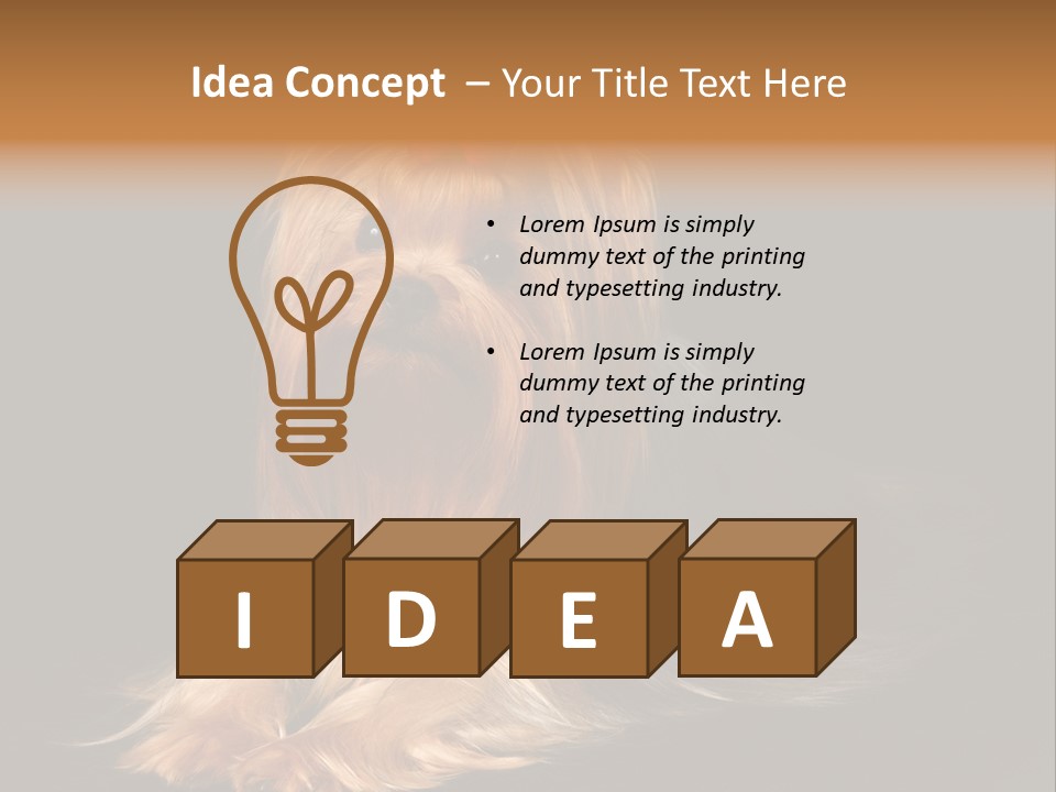 The Yorkshire Terrier On Black Background PowerPoint Template