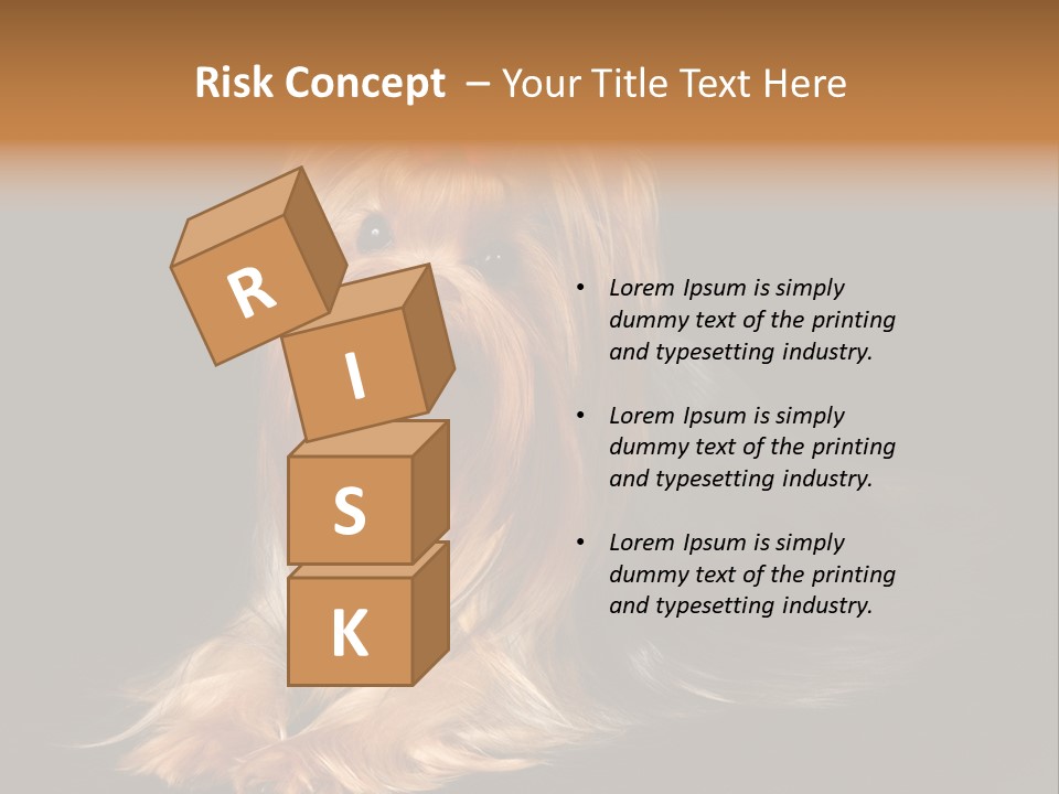 The Yorkshire Terrier On Black Background PowerPoint Template