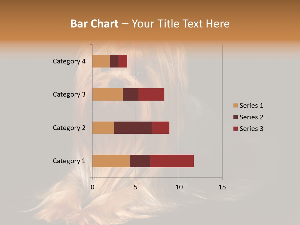 The Yorkshire Terrier On Black Background PowerPoint Template