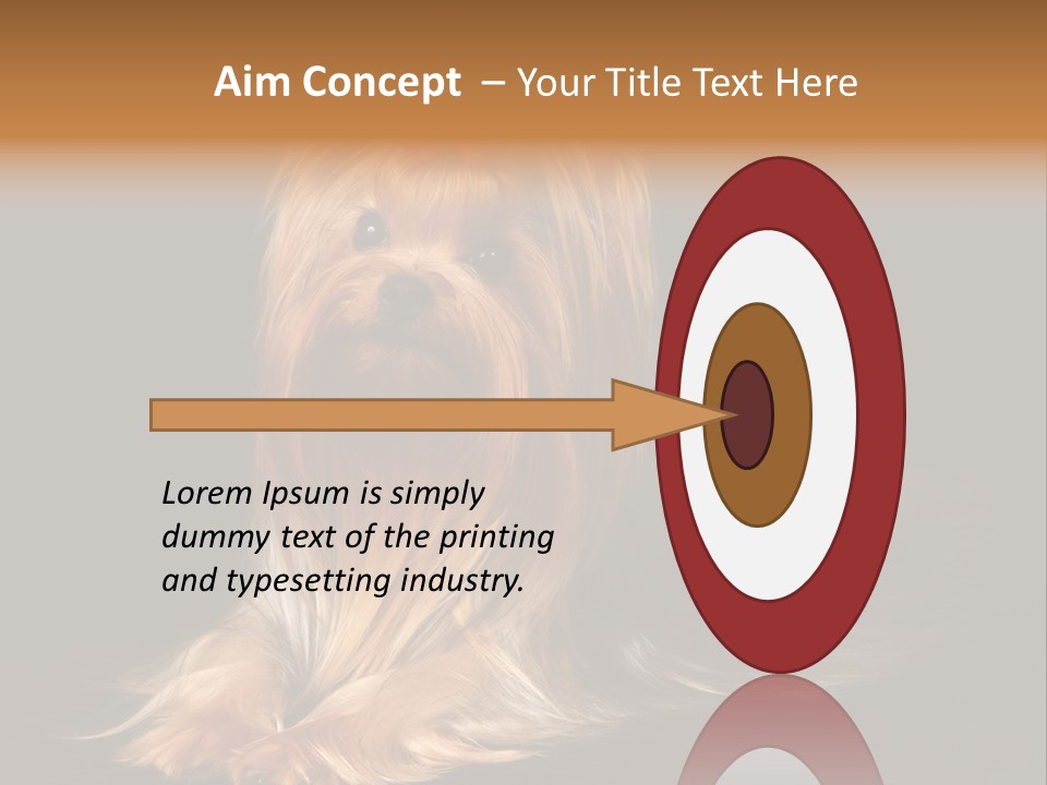 The Yorkshire Terrier On Black Background PowerPoint Template