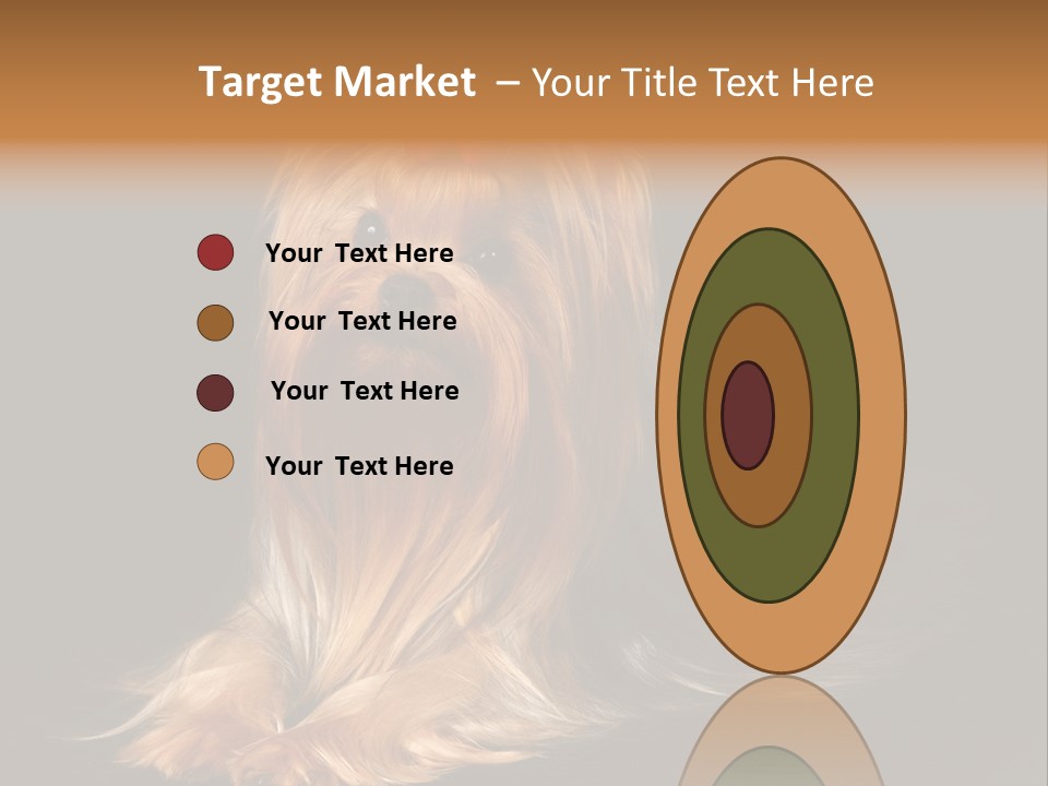 The Yorkshire Terrier On Black Background PowerPoint Template