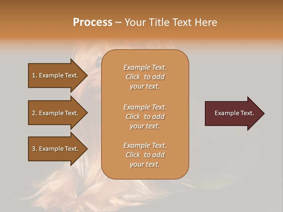 The Yorkshire Terrier On Black Background PowerPoint Template