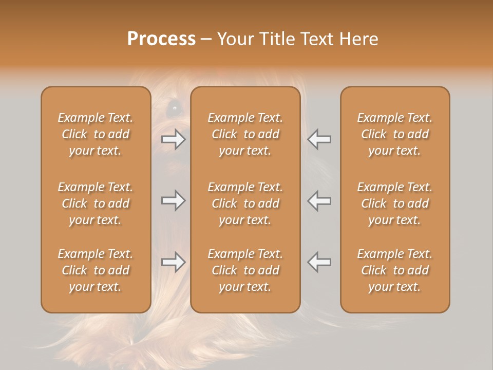 The Yorkshire Terrier On Black Background PowerPoint Template