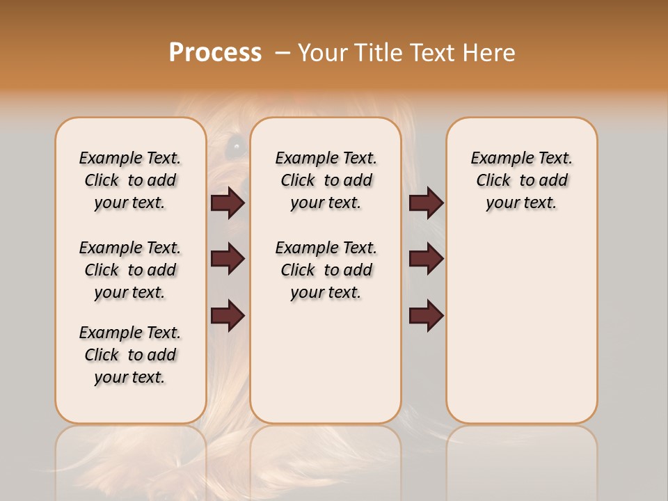 The Yorkshire Terrier On Black Background PowerPoint Template