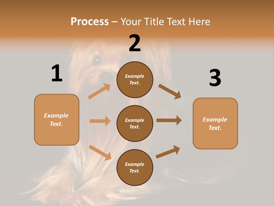 The Yorkshire Terrier On Black Background PowerPoint Template