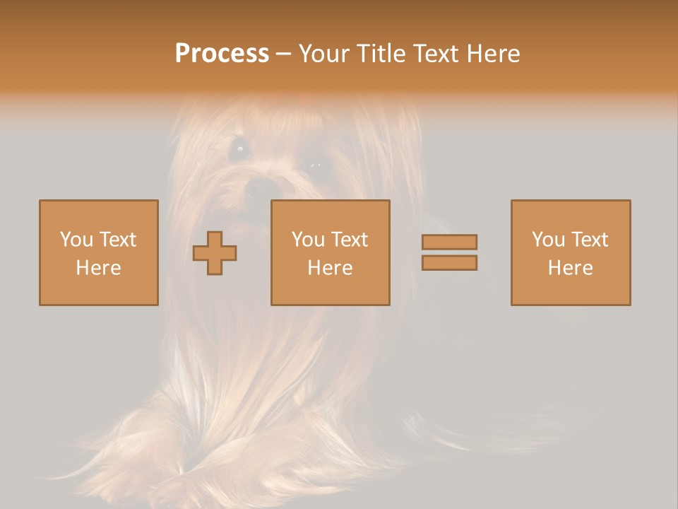 The Yorkshire Terrier On Black Background PowerPoint Template