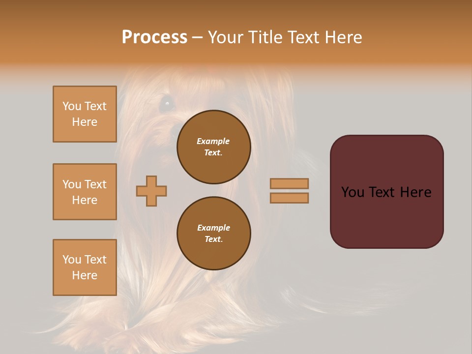 The Yorkshire Terrier On Black Background PowerPoint Template