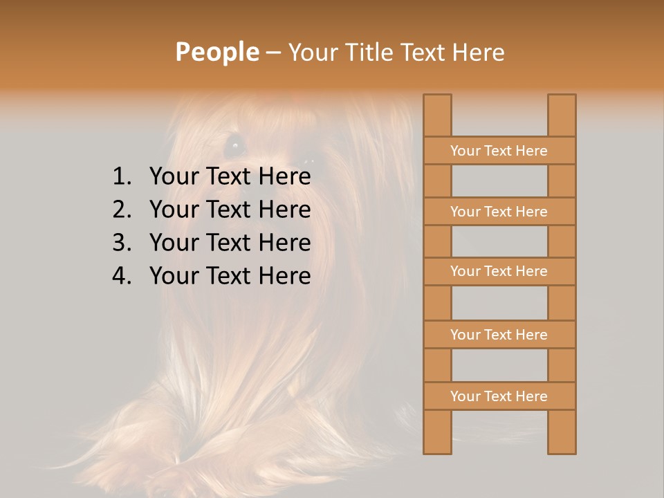 The Yorkshire Terrier On Black Background PowerPoint Template