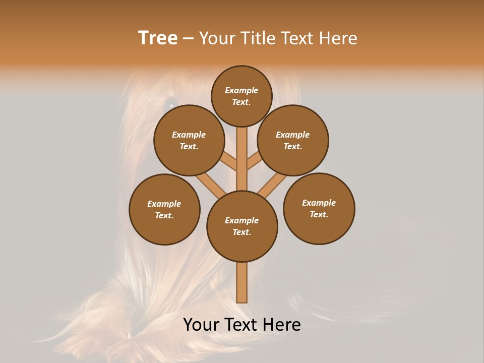 The Yorkshire Terrier On Black Background PowerPoint Template