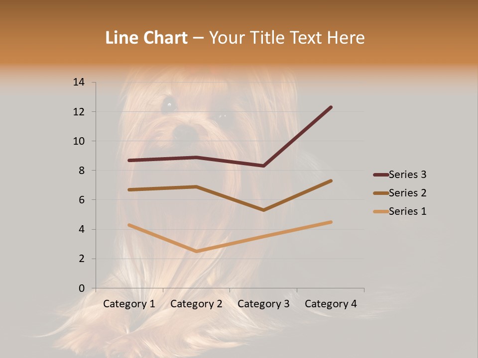 The Yorkshire Terrier On Black Background PowerPoint Template