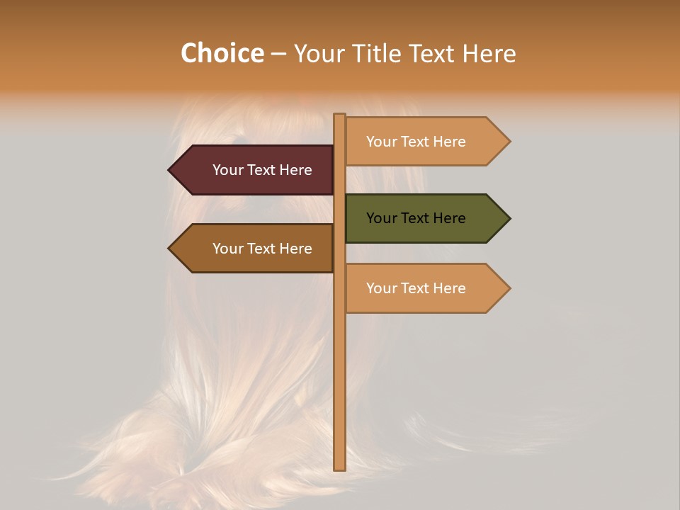 The Yorkshire Terrier On Black Background PowerPoint Template