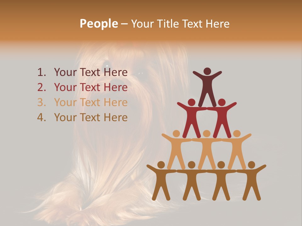 The Yorkshire Terrier On Black Background PowerPoint Template