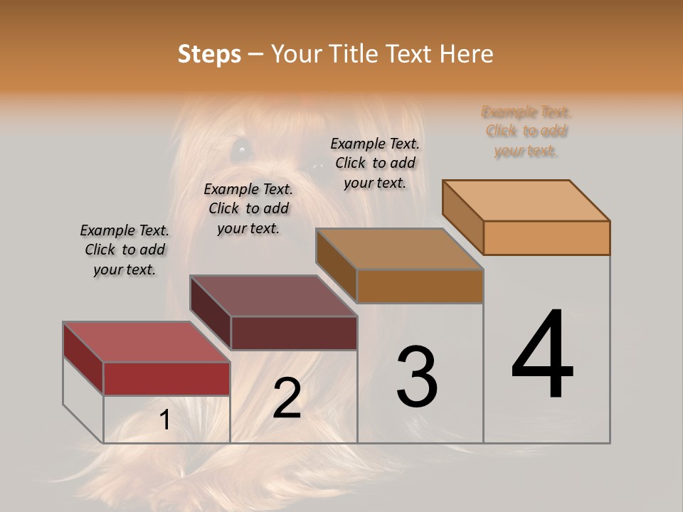 The Yorkshire Terrier On Black Background PowerPoint Template