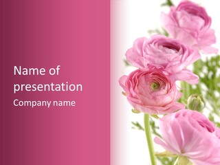 Beautiful Bouquet PowerPoint Template