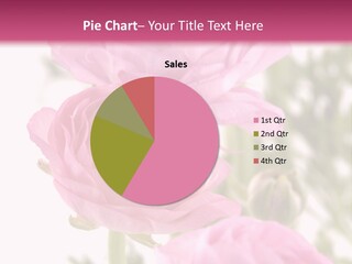 Beautiful Bouquet PowerPoint Template