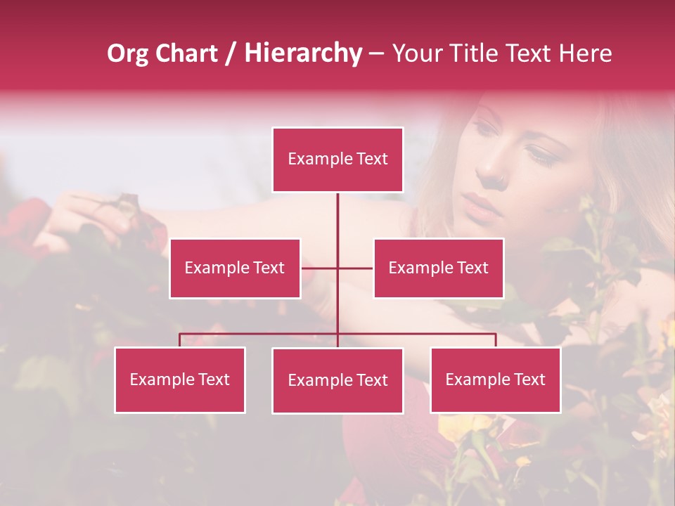 Gardening - Woman Doing Garden Work Cutting The Roses At Beautifully Sunny Day PowerPoint Template