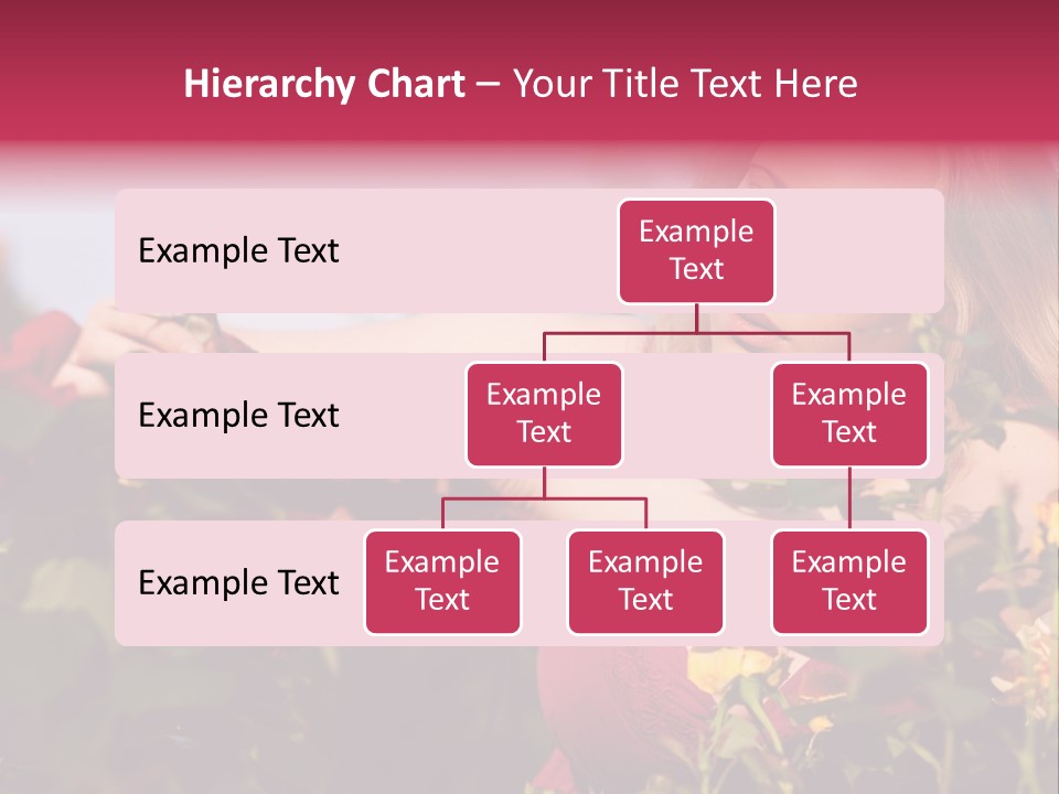 Gardening - Woman Doing Garden Work Cutting The Roses At Beautifully Sunny Day PowerPoint Template