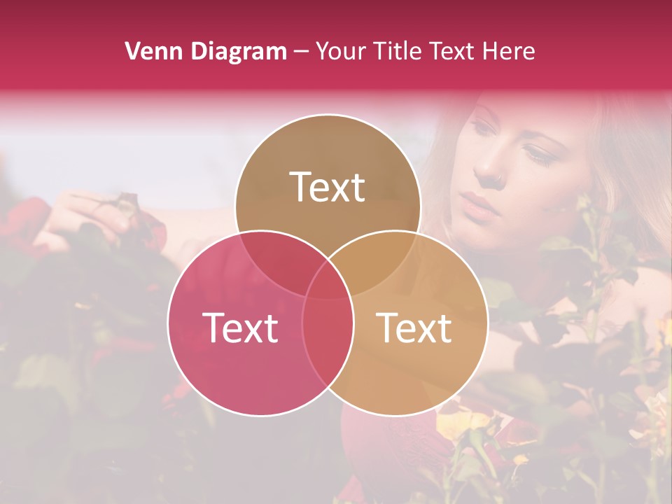 Gardening - Woman Doing Garden Work Cutting The Roses At Beautifully Sunny Day PowerPoint Template