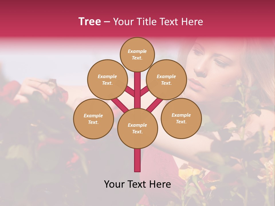 Gardening - Woman Doing Garden Work Cutting The Roses At Beautifully Sunny Day PowerPoint Template