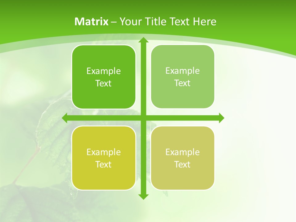 Beautiful Fresh Leaves With Water Drops PowerPoint Template