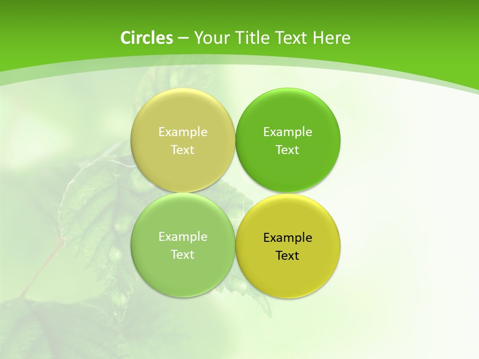 Beautiful Fresh Leaves With Water Drops PowerPoint Template