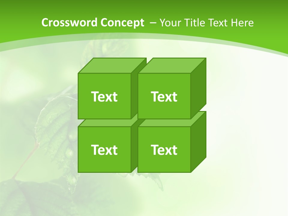 Beautiful Fresh Leaves With Water Drops PowerPoint Template