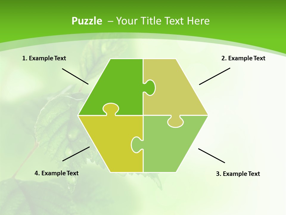 Beautiful Fresh Leaves With Water Drops PowerPoint Template