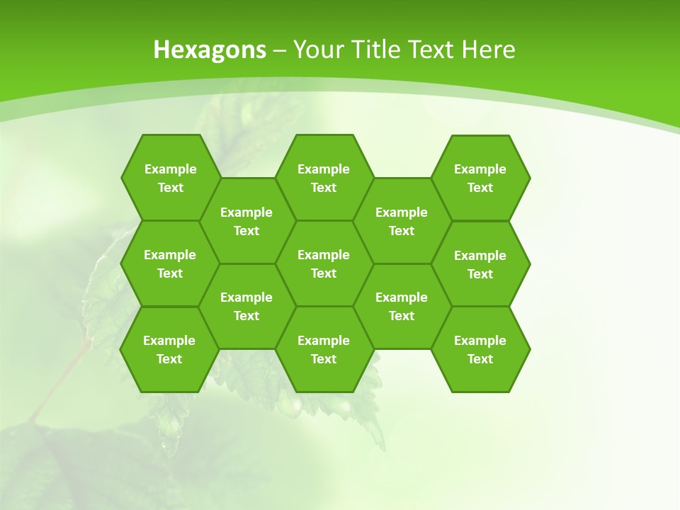 Beautiful Fresh Leaves With Water Drops PowerPoint Template