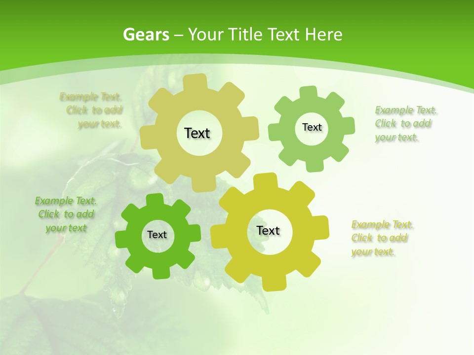 Beautiful Fresh Leaves With Water Drops PowerPoint Template