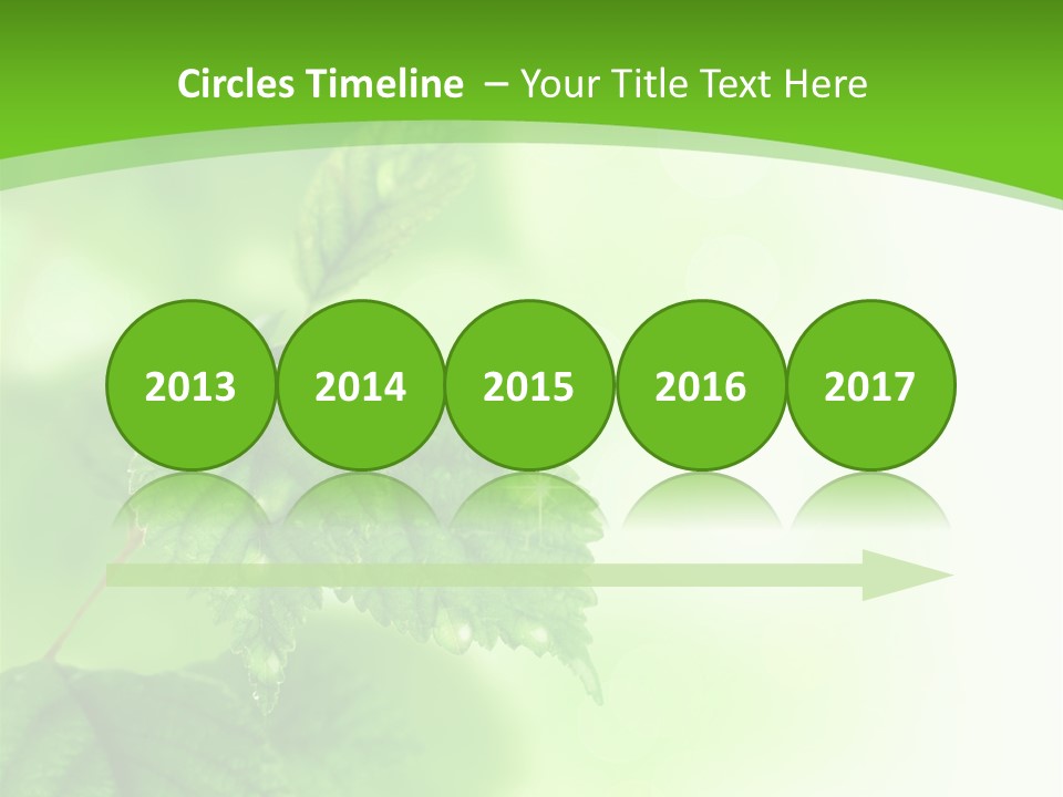 Beautiful Fresh Leaves With Water Drops PowerPoint Template