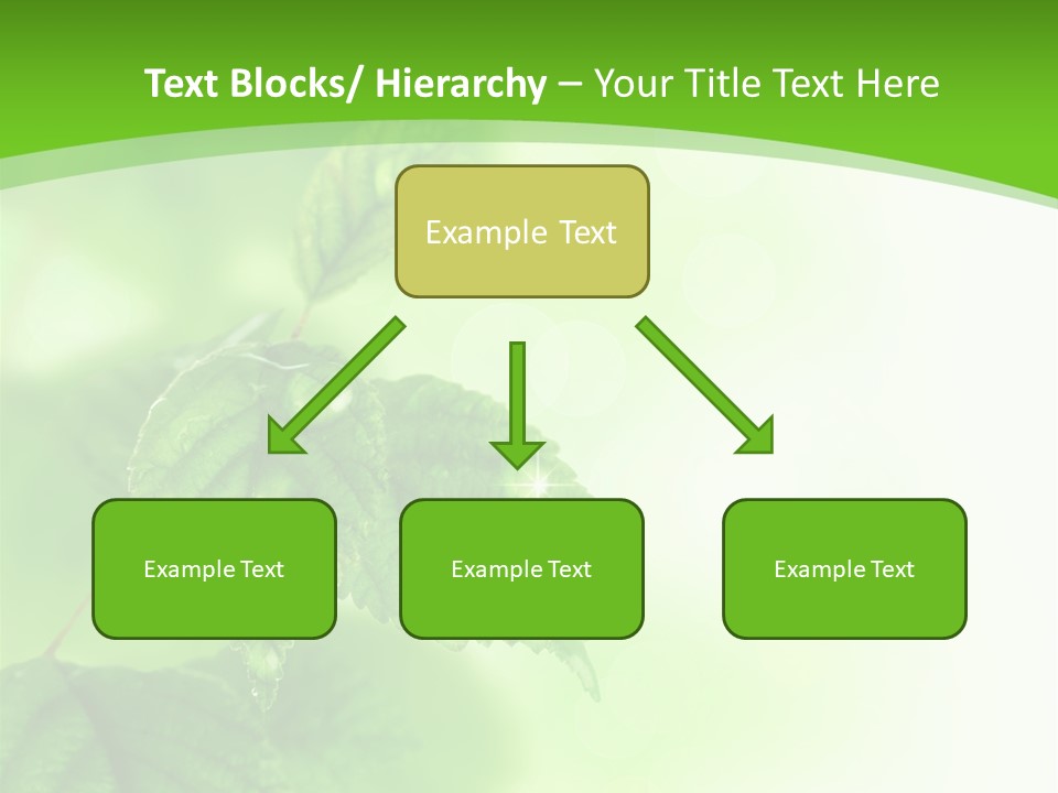 Beautiful Fresh Leaves With Water Drops PowerPoint Template