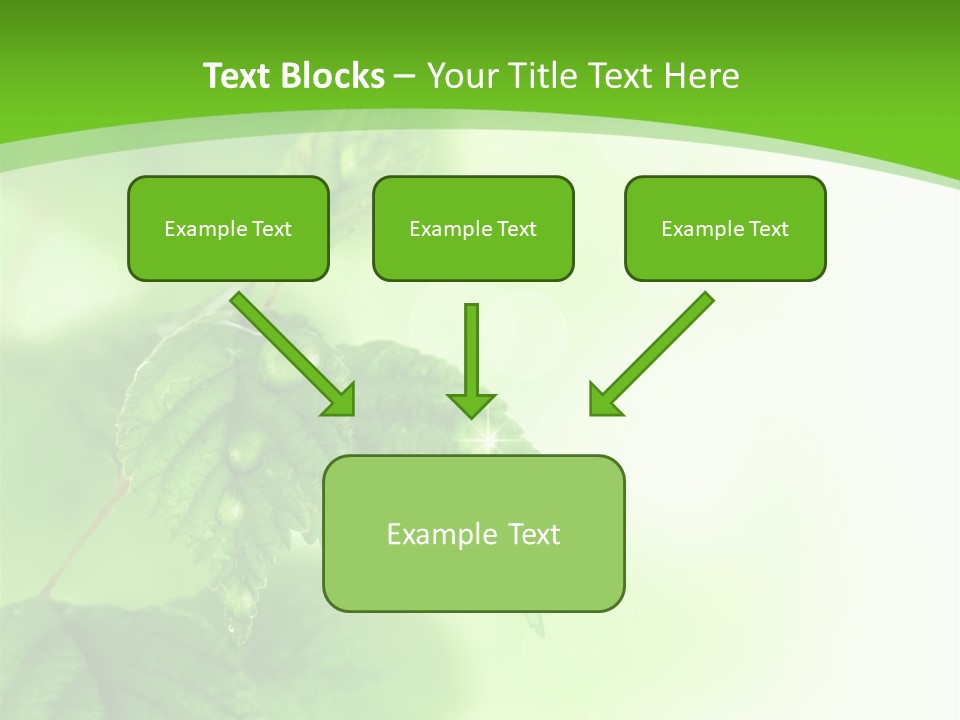 Beautiful Fresh Leaves With Water Drops PowerPoint Template