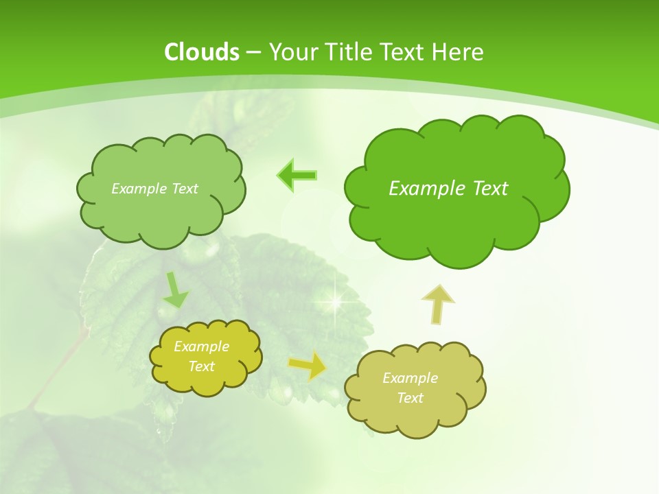 Beautiful Fresh Leaves With Water Drops PowerPoint Template