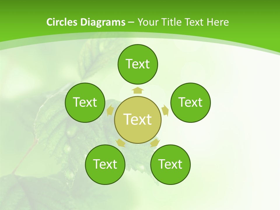 Beautiful Fresh Leaves With Water Drops PowerPoint Template