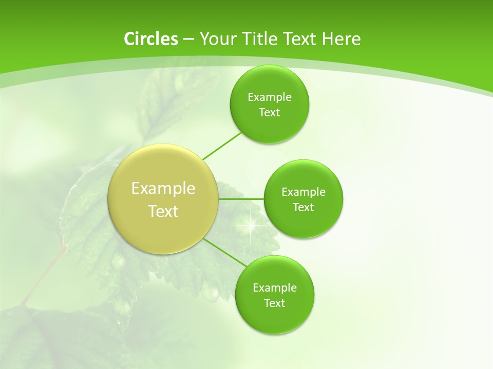 Beautiful Fresh Leaves With Water Drops PowerPoint Template