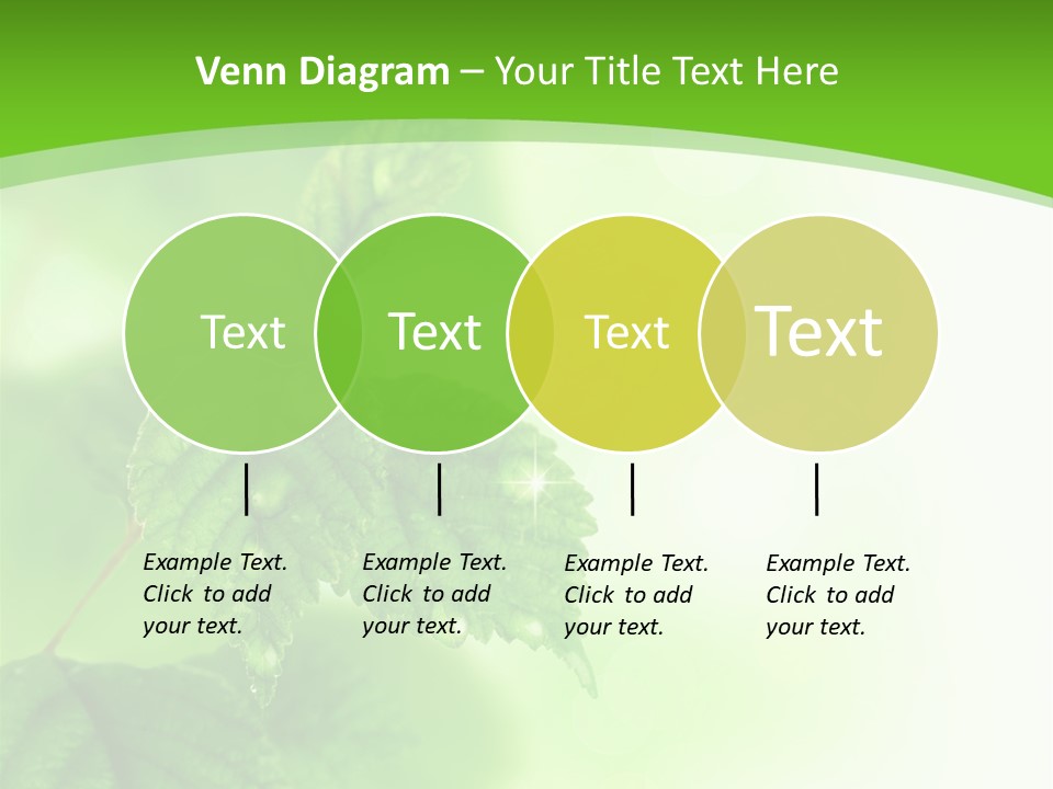Beautiful Fresh Leaves With Water Drops PowerPoint Template