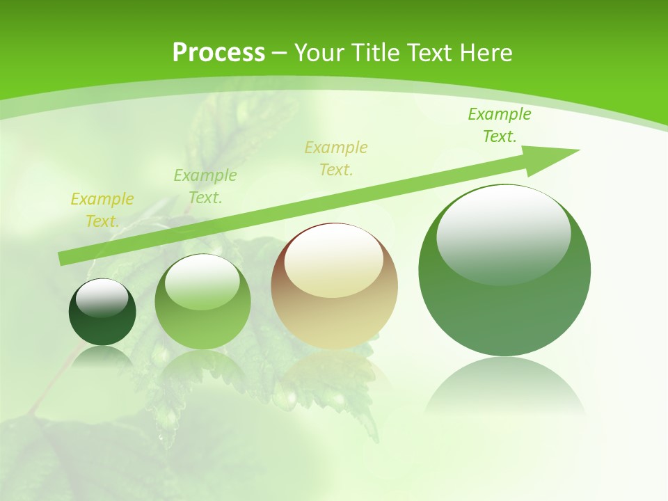 Beautiful Fresh Leaves With Water Drops PowerPoint Template