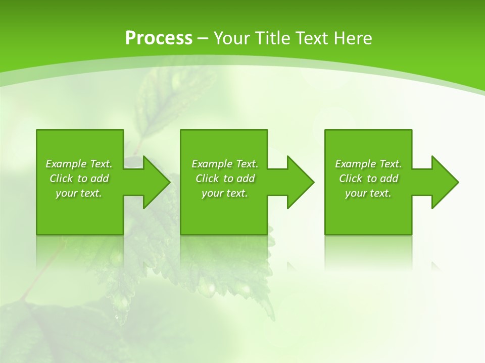 Beautiful Fresh Leaves With Water Drops PowerPoint Template