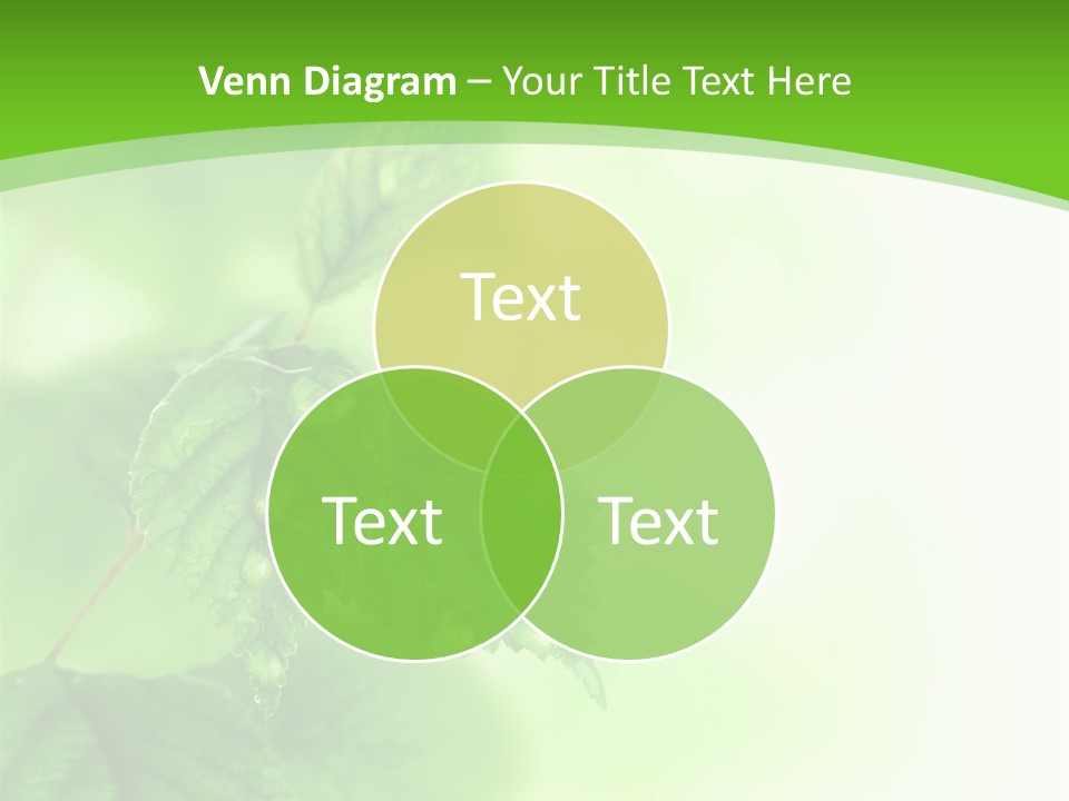 Beautiful Fresh Leaves With Water Drops PowerPoint Template