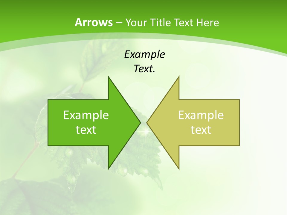 Beautiful Fresh Leaves With Water Drops PowerPoint Template