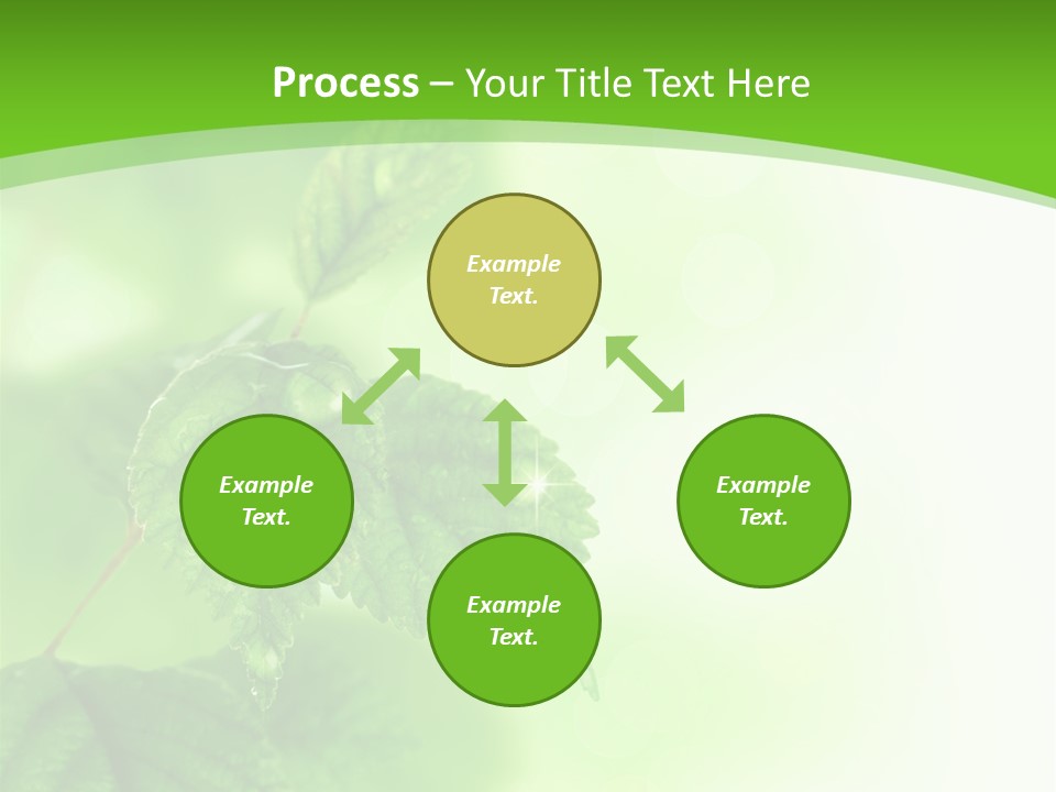 Beautiful Fresh Leaves With Water Drops PowerPoint Template