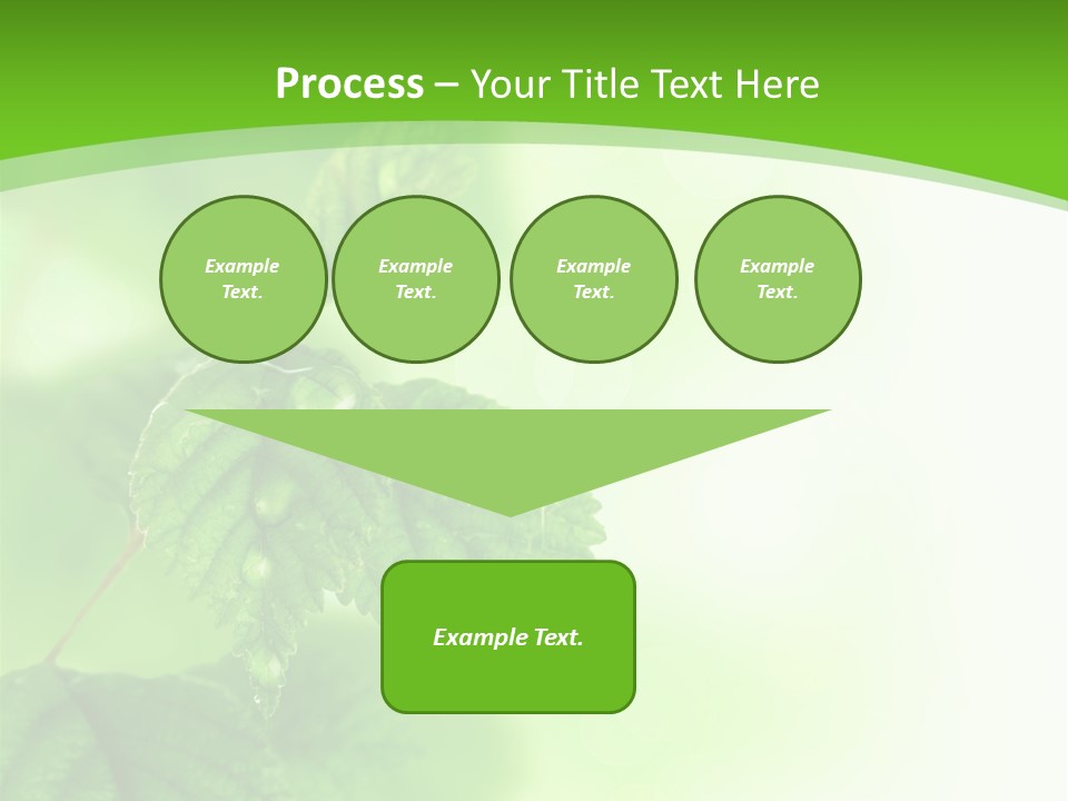 Beautiful Fresh Leaves With Water Drops PowerPoint Template