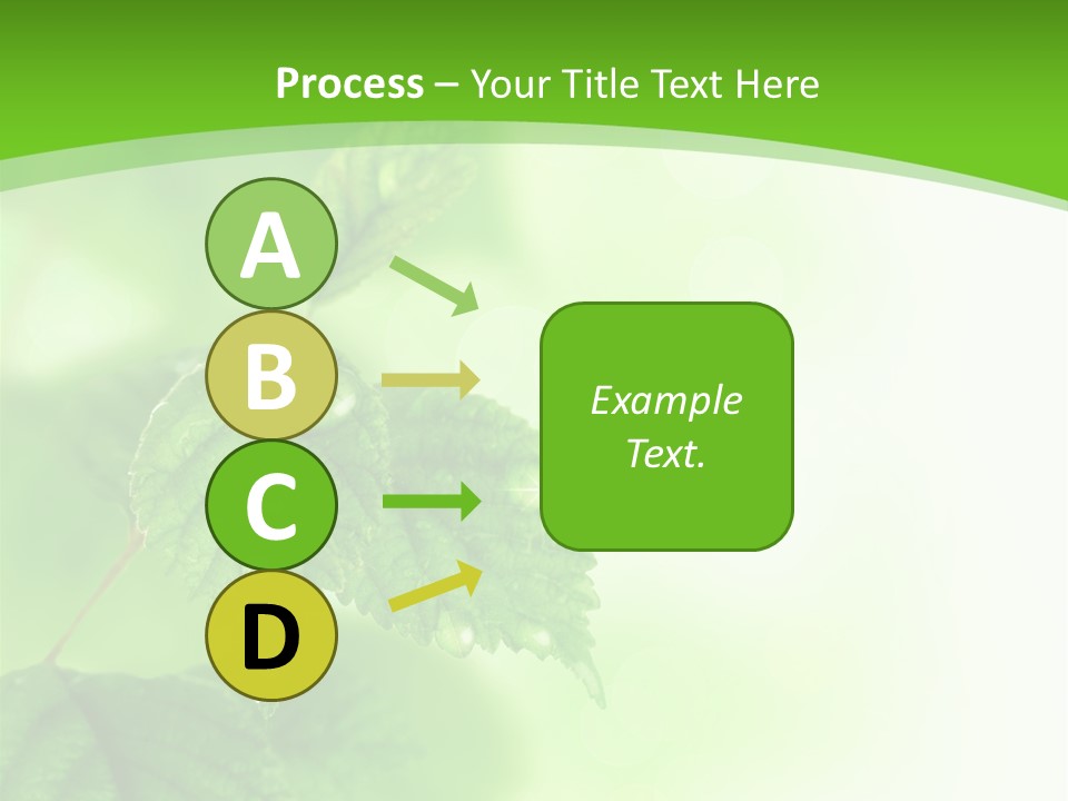 Beautiful Fresh Leaves With Water Drops PowerPoint Template