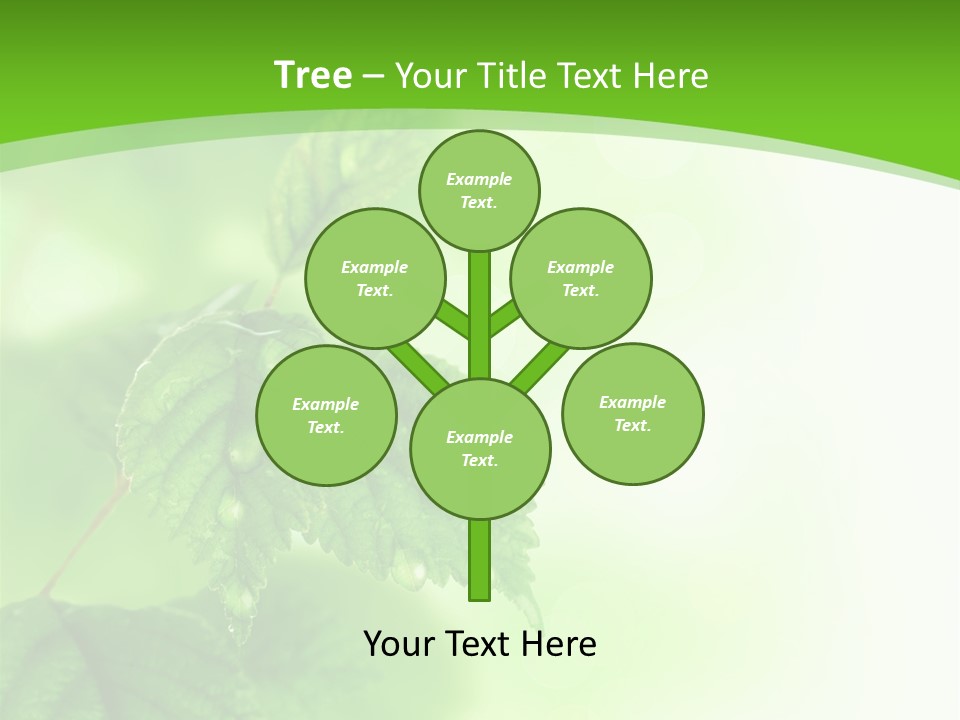 Beautiful Fresh Leaves With Water Drops PowerPoint Template