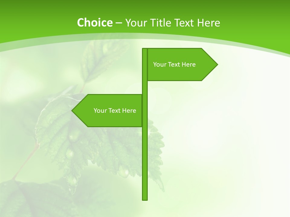 Beautiful Fresh Leaves With Water Drops PowerPoint Template