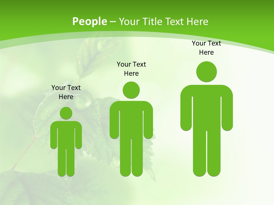 Beautiful Fresh Leaves With Water Drops PowerPoint Template