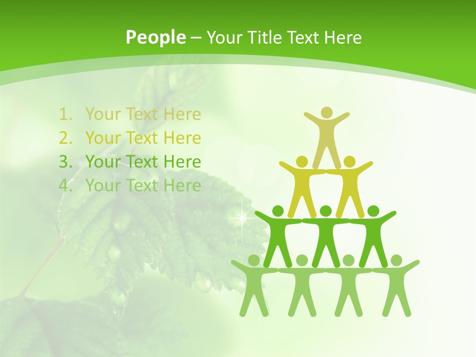 Beautiful Fresh Leaves With Water Drops PowerPoint Template